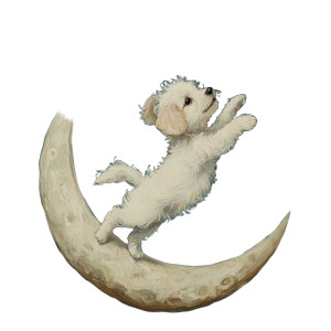 Dancing Moon Puppy Vinyl Car Decal Sticker – Waterproof & UV-Resistant 8" Dancing Moon Puppy Vinyl Car Decal Sticker – Waterproof & UV-Resistant 8"