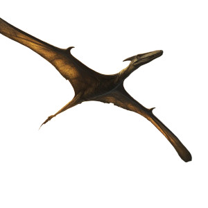 Soaring Pterodactyl Vinyl Car Decal Sticker – Waterproof & UV-Resistant 8"