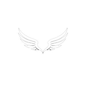 Minimalist Angel Wings V2 Vinyl Car Decal Sticker – Waterproof & UV-Resistant 8"