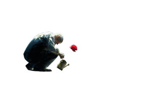 Defiant Rose Vinyl Car Decal Sticker – Waterproof & UV-Resistant 8"