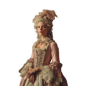 Regal Marie Antoinette Vinyl Car Decal Sticker – Waterproof & UV-Resistant 8"