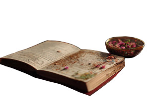 Romantasy Book Vinyl Car Decal Sticker – Waterproof & UV-Resistant 8"