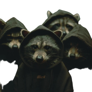 Angry Hoodie Raccoons Vinyl Car Decal Sticker – Waterproof & UV-Resistant 8"