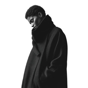 Cocoon Coat Vinyl Car Decal Sticker – Waterproof & UV-Resistant 8"