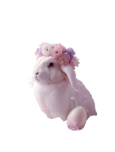 Floral Crown Bunny Vinyl Car Decal Sticker – Waterproof & UV-Resistant 8"