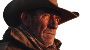 Older Cowboy Sunset Vinyl Car Decal Sticker – Waterproof & UV-Resistant 8"