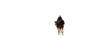 Desert Camel Rider Vinyl Car Decal Sticker – Waterproof & UV-Resistant 8" Desert Camel Rider Vinyl Car Decal Sticker – Waterproof & UV-Resistant 8"