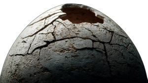 Gigantic White Egg Vinyl Car Decal Sticker – Waterproof & UV-Resistant 8"