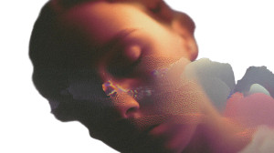 Morphing Glitch Portrait Vinyl Car Decal Sticker – Waterproof & UV-Resistant 8"