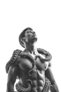 Giant Octopus Embrace Vinyl Car Decal Sticker – Waterproof & UV-Resistant 8"