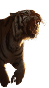 Majestic Bengal Tiger V2 Vinyl Car Decal Sticker – Waterproof & UV-Resistant 8"