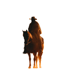 Cowboy On Horse V3 Vinyl Car Decal Sticker – Waterproof & UV-Resistant 8" Cowboy On Horse V3 Vinyl Car Decal Sticker – Waterproof & UV-Resistant 8"