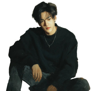 K-Pop Idol Portrait Vinyl Car Decal Sticker – Waterproof & UV-Resistant 8"