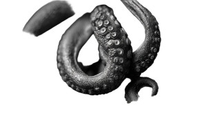 Surreal Tentacle Close-Up Vinyl Car Decal Sticker – Waterproof & UV-Resistant 8" Surreal Tentacle Close-Up Vinyl Car Decal Sticker – Waterproof & UV-Resistant 8"
