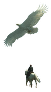 Eagle And Rider Vinyl Car Decal Sticker – Waterproof & UV-Resistant 8"