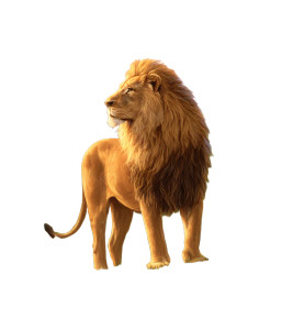 Majestic Lion King V2 Vinyl Car Decal Sticker – Waterproof & UV-Resistant 8"