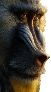 Rafiki'S Close-Up Vinyl Car Decal Sticker – Waterproof & UV-Resistant 8"