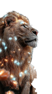 Majestic Lion V4 Vinyl Car Decal Sticker – Waterproof & UV-Resistant 8" Majestic Lion V4 Vinyl Car Decal Sticker – Waterproof & UV-Resistant 8"