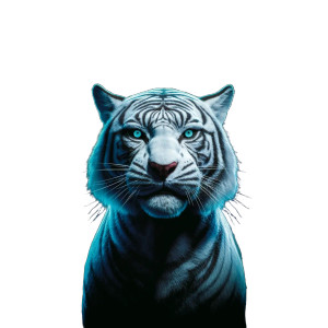 White Tiger Face V2 Vinyl Car Decal Sticker – Waterproof & UV-Resistant 8"