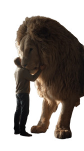 Giant Cozy Lion Vinyl Car Decal Sticker – Waterproof & UV-Resistant 8"