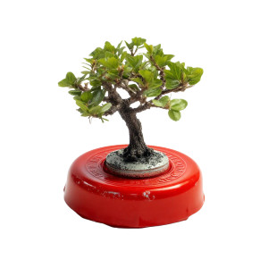 Red Bonsai Cap Vinyl Car Decal Sticker – Waterproof & UV-Resistant 8"
