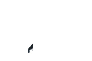Lonely Wolf Howls Vinyl Car Decal Sticker – Waterproof & UV-Resistant 8"