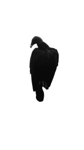 Dark Vulture Vinyl Car Decal Sticker – Waterproof & UV-Resistant 8"