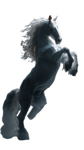 Majestic White Horse Vinyl Car Decal Sticker – Waterproof & UV-Resistant 8" Majestic White Horse Vinyl Car Decal Sticker – Waterproof & UV-Resistant 8"