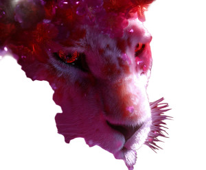 Floral Lion Vinyl Car Decal Sticker – Waterproof & UV-Resistant 8"