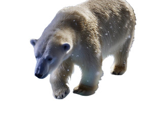 Polar Bear On Ice Vinyl Car Decal Sticker – Waterproof & UV-Resistant 8"