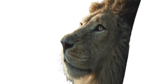 Lion Traffic Jam Vinyl Car Decal Sticker – Waterproof & UV-Resistant 8"