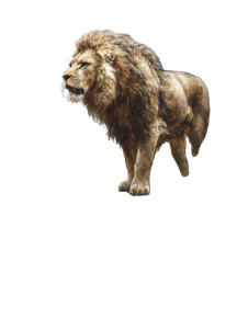 Lion Oil Painting Vinyl Car Decal Sticker – Waterproof & UV-Resistant 8" Lion Oil Painting Vinyl Car Decal Sticker – Waterproof & UV-Resistant 8"