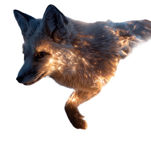 Fire Fox Desert Vinyl Car Decal Sticker – Waterproof & UV-Resistant 8"