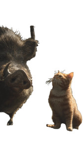 Warrior Tabby Cat Vinyl Car Decal Sticker – Waterproof & UV-Resistant 8" Warrior Tabby Cat Vinyl Car Decal Sticker – Waterproof & UV-Resistant 8"