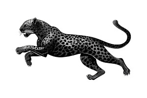 Running Leopard Logo Vinyl Car Decal Sticker – Waterproof & UV-Resistant 8"