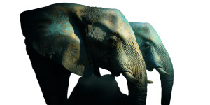 Majestic Elephants Portrait Vinyl Car Decal Sticker – Waterproof & UV-Resistant 8" Majestic Elephants Portrait Vinyl Car Decal Sticker – Waterproof & UV-Resistant 8"