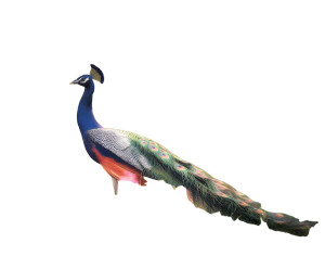 Colorful Peacock Plumage Vinyl Car Decal Sticker – Waterproof & UV-Resistant 8"