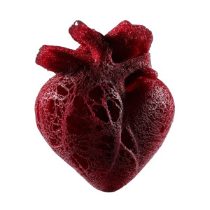 Heart Loofah Sponge Vinyl Car Decal Sticker – Waterproof & UV-Resistant 8"