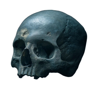 Dark Thriller Skull Vinyl Car Decal Sticker – Waterproof & UV-Resistant 8"