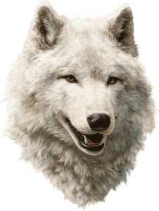 Dire Wolf Sticker V2 Vinyl Car Decal Sticker – Waterproof & UV-Resistant 8"