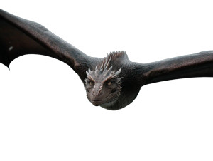 Dragon Flight Vinyl Car Decal Sticker – Waterproof & UV-Resistant 8" Dragon Flight Vinyl Car Decal Sticker – Waterproof & UV-Resistant 8"