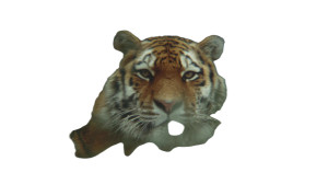 Tiger In Forest Vinyl Car Decal Sticker – Waterproof & UV-Resistant 8"