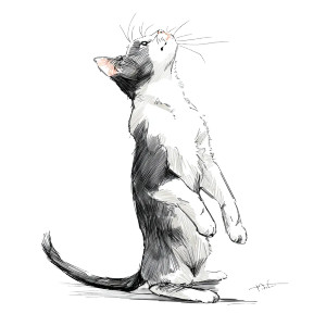 Drawn Cat Sitting Vinyl Car Decal Sticker – Waterproof & UV-Resistant 8"