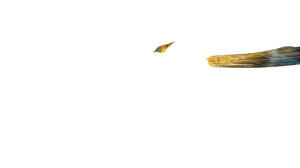 Digital Phoenix Rebirth Vinyl Car Decal Sticker – Waterproof & UV-Resistant 8"