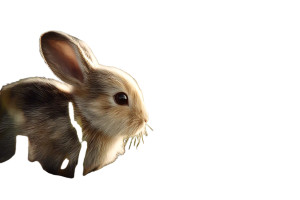 Easter Bunny Scene V3 Vinyl Car Decal Sticker – Waterproof & UV-Resistant 8"