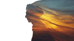 Silhouette In Golden Fields Vinyl Car Decal Sticker – Waterproof & UV-Resistant 8"