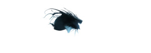 Epic Sea Dragon Vinyl Car Decal Sticker – Waterproof & UV-Resistant 8"
