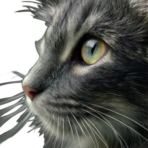 Cat V21 Vinyl Car Decal Sticker – Waterproof & UV-Resistant 8" Cat V21 Vinyl Car Decal Sticker – Waterproof & UV-Resistant 8"