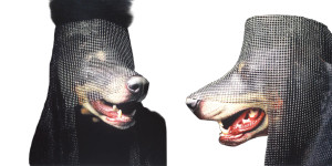 Dog Eat Dog Vinyl Car Decal Sticker – Waterproof & UV-Resistant 8"