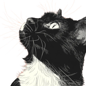 Cat V24 Vinyl Car Decal Sticker – Waterproof & UV-Resistant 8"